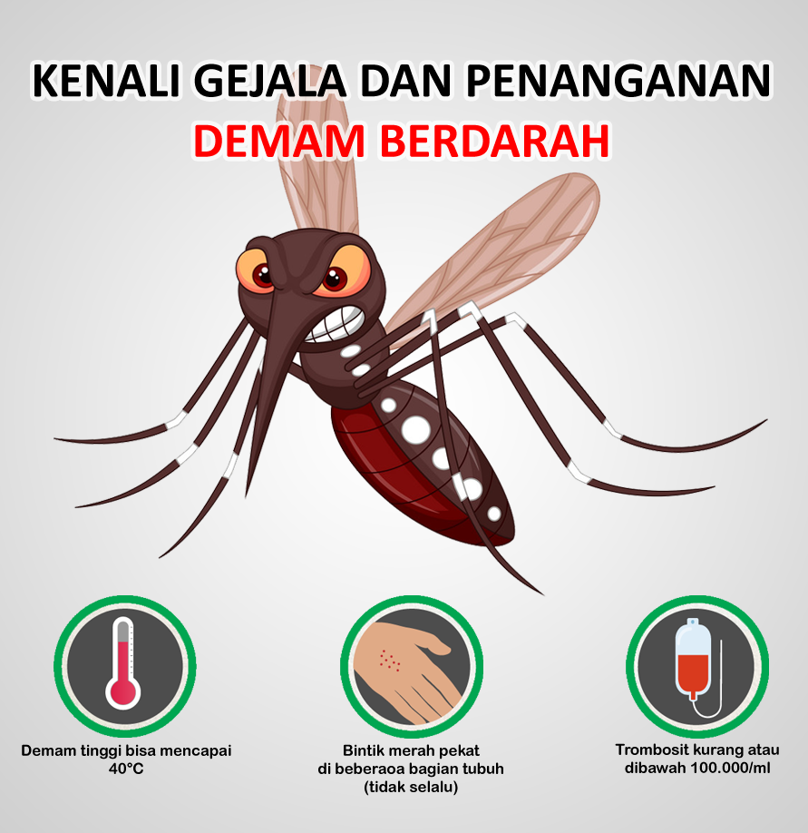 Bawaan nyamuk penyakit Pencegahan Malaria